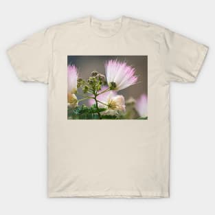 Mimosa Radiance T-Shirt